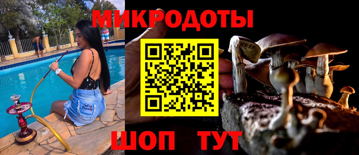 Гуково  Галлюциногенные грибы MAGIC MUSHROOMS  Вход с VPN  Псилоцибиновые грибы мухоморы 